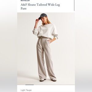 Abercrombie & Fitch Wide Leg Pants in Light Taupe